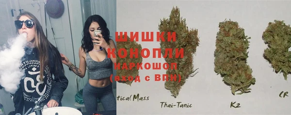 ГАЛЛЮЦИНОГЕННЫЕ ГРИБЫ Армянск