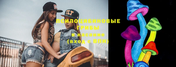 ГАЛЛЮЦИНОГЕННЫЕ ГРИБЫ Аркадак