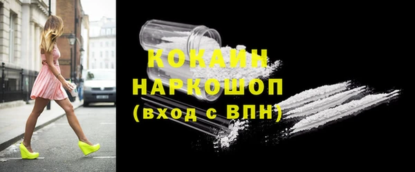 ГАЛЛЮЦИНОГЕННЫЕ ГРИБЫ Аркадак
