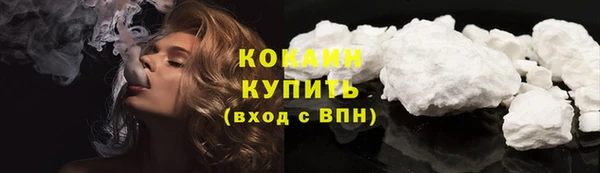 ГАЛЛЮЦИНОГЕННЫЕ ГРИБЫ Аркадак