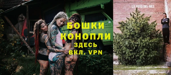 ГАЛЛЮЦИНОГЕННЫЕ ГРИБЫ Аркадак