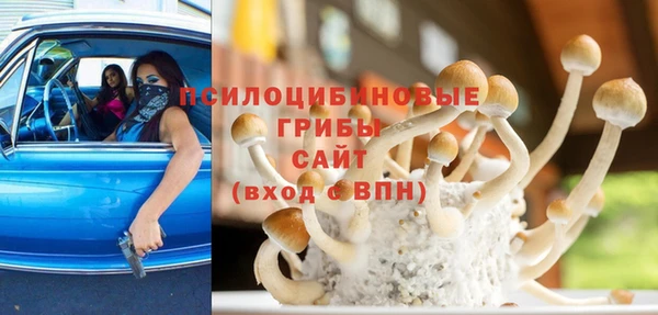 бутират Арсеньев